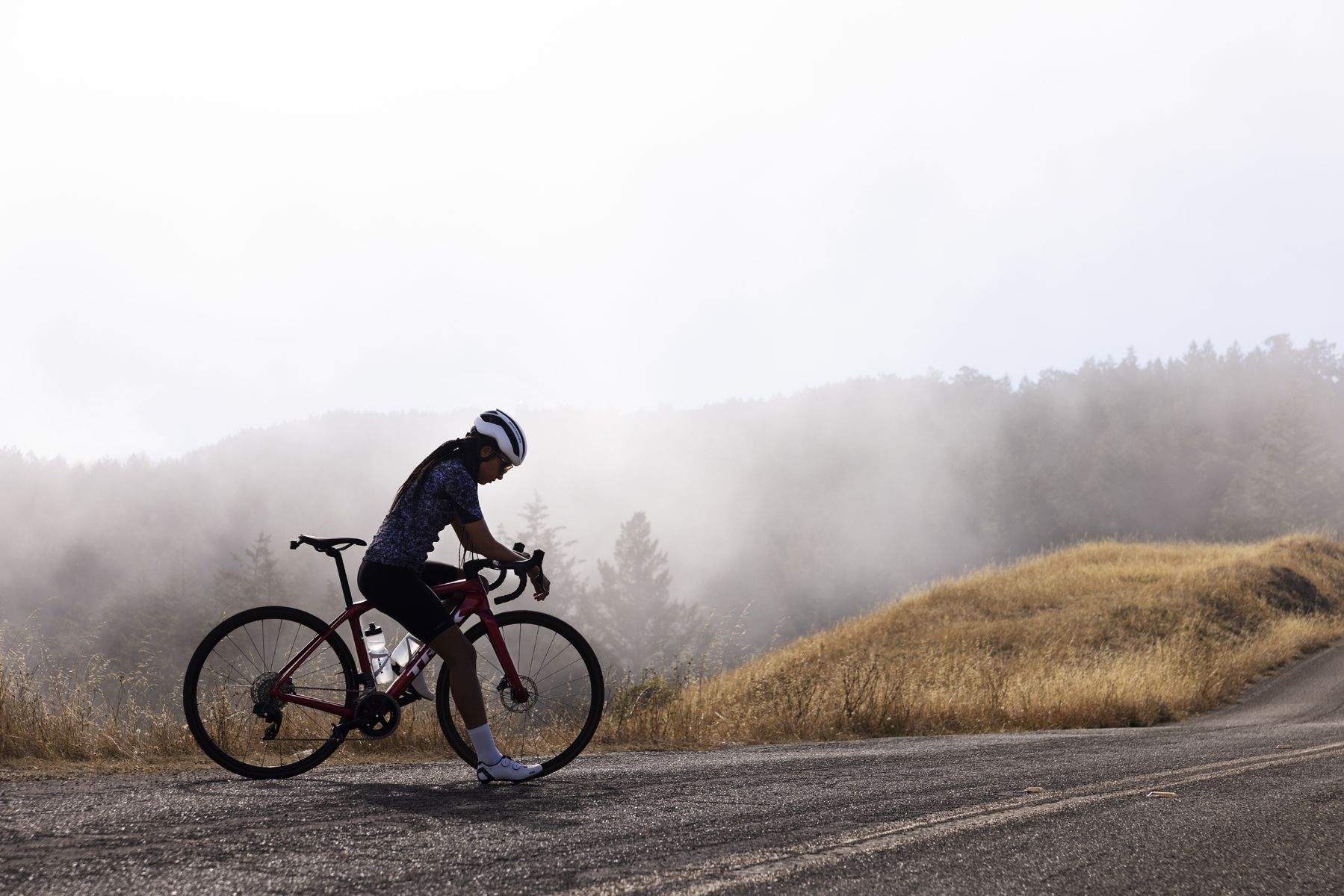 Nueva Trek Domane 2023