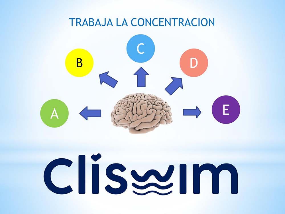 Trabaja la concentración Trabaja la concentración