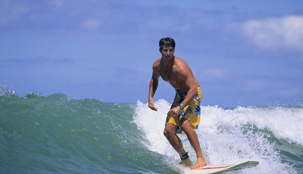 surf surf
