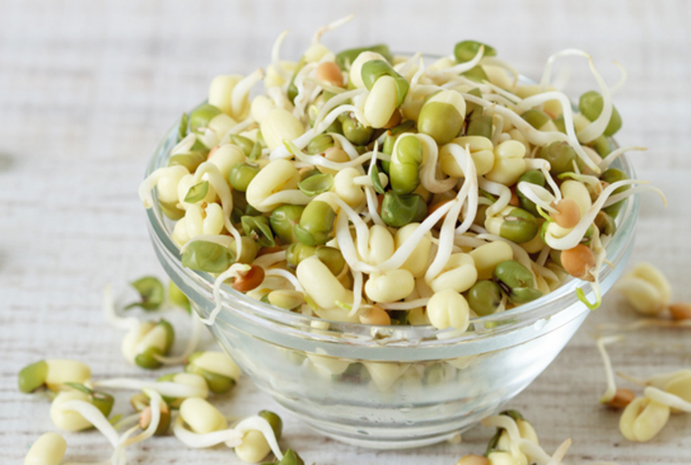 Proteínas para tus ensaladas Proteínas para tus ensaladas