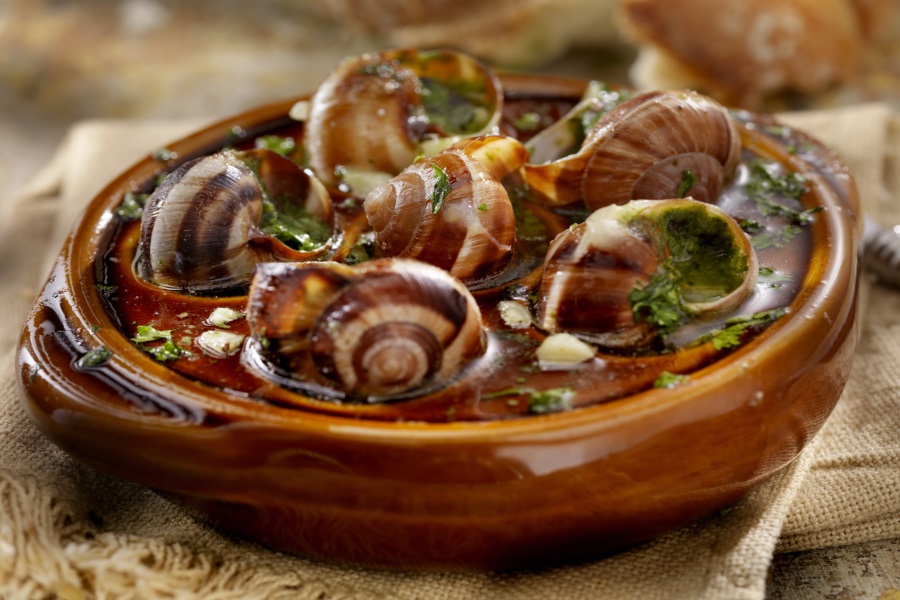 Alimentos asquerosamente nutritivos Alimentos asquerosamente nutritivos