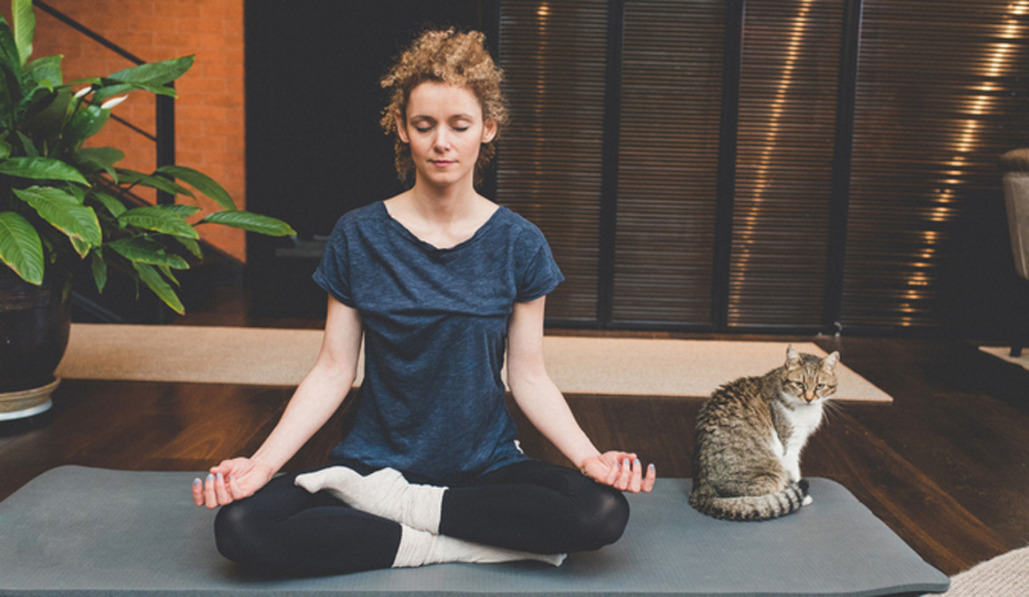 Libro MiAyuno, una guía completa sobre el ayuno y sus beneficios Libro MiAyuno, una guía completa sobre el ayuno y sus beneficios