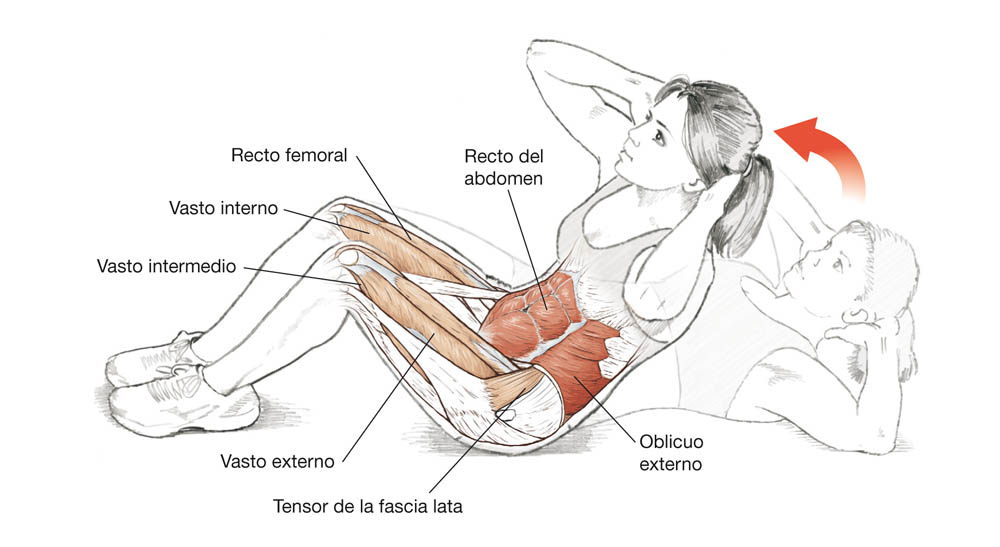 El corredor por dentro El corredor por dentro