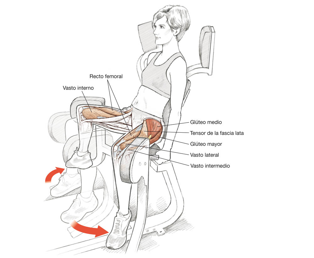 El corredor por dentro El corredor por dentro