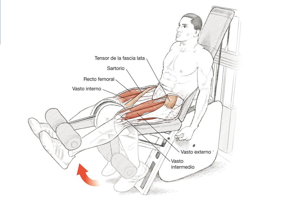 El corredor por dentro El corredor por dentro