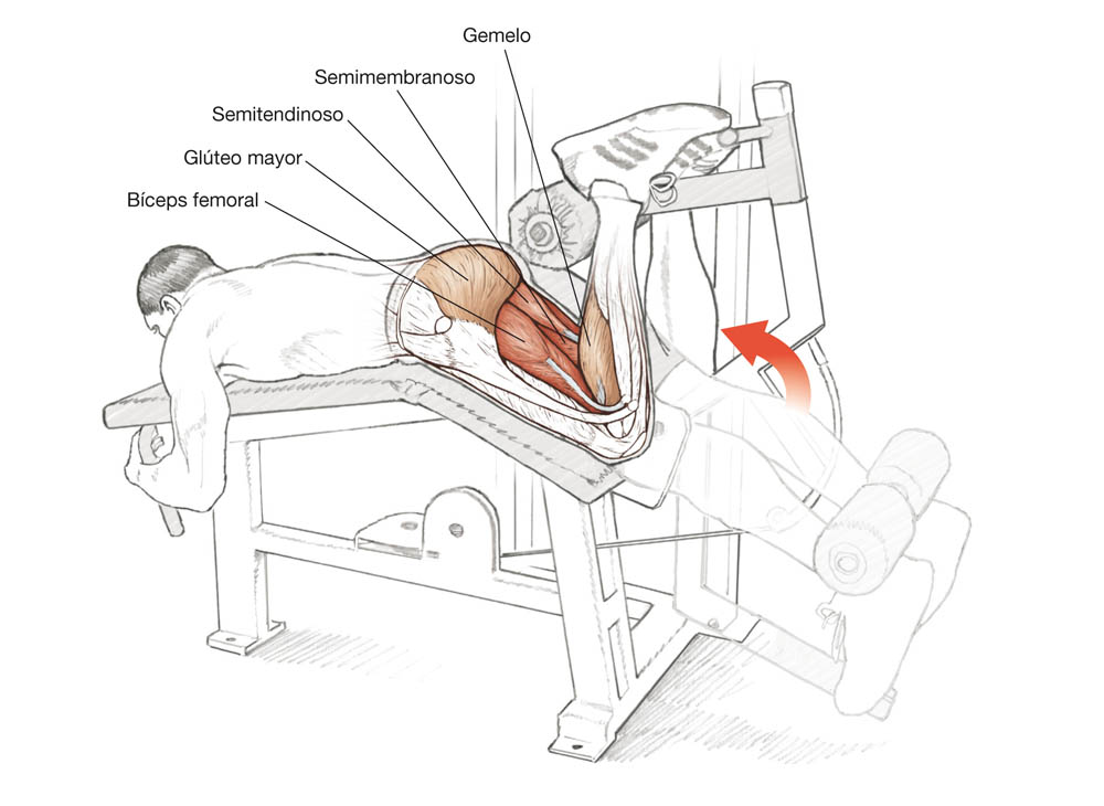 El corredor por dentro El corredor por dentro